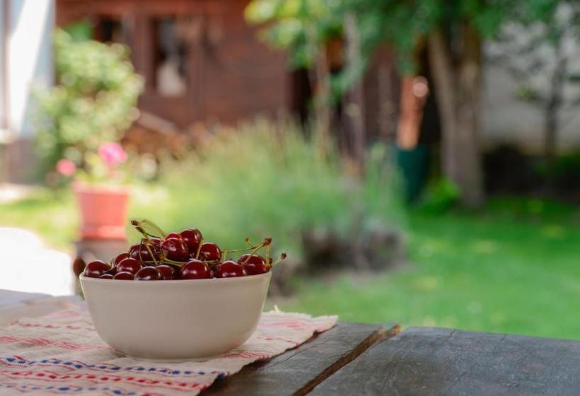 Pensiunea La Despani