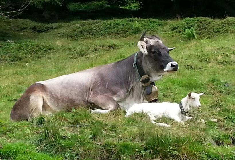 پانسیون Haus Groder