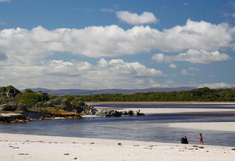 بنسيون Lavender Manor Guest Lodge