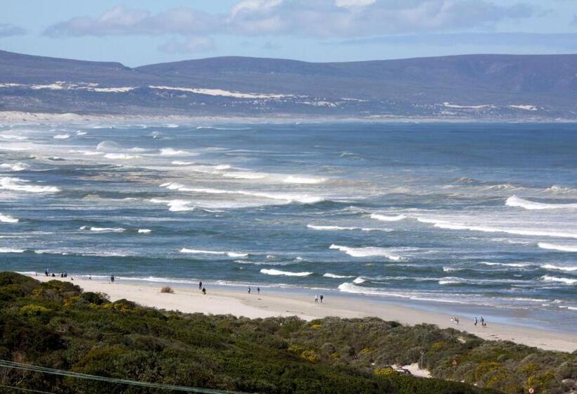 بنسيون Lavender Manor Guest Lodge