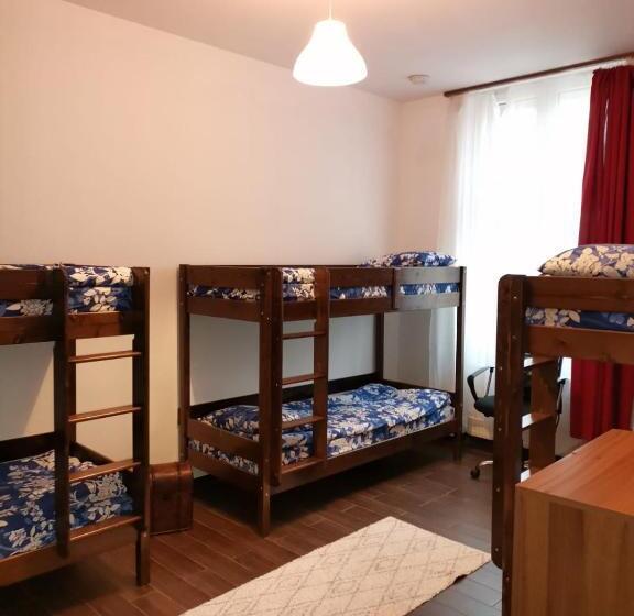 Vintage Downtown Hostel