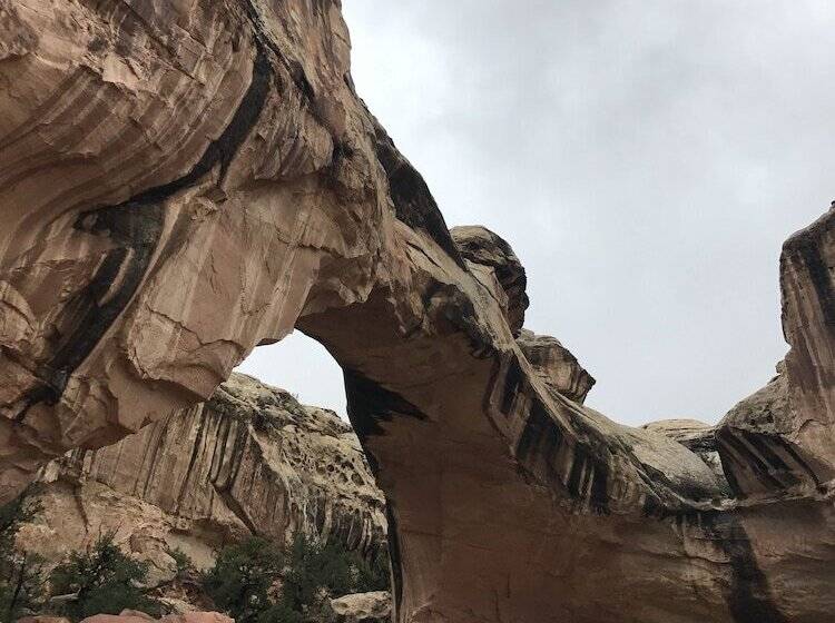 Circle Of Destination Motel