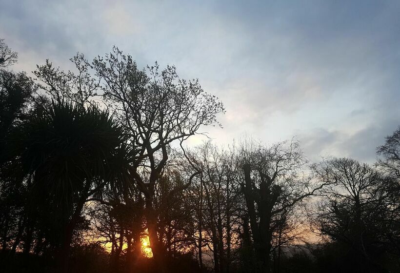 Cosy 2 Bed Property In Ashburton, Dartmoor