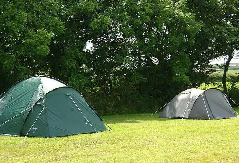 فندق Bring Your Own Tent  6 Birth Size Tent Max