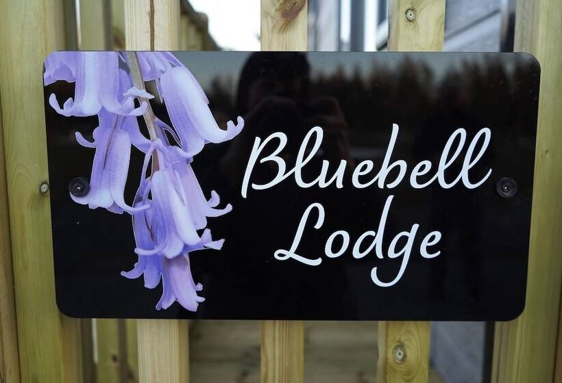 فندق Hollicarrs  Bluebell Lodge
