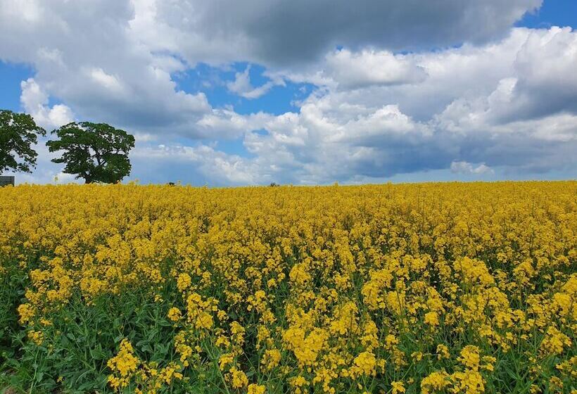 Отель L Stavstensgården
