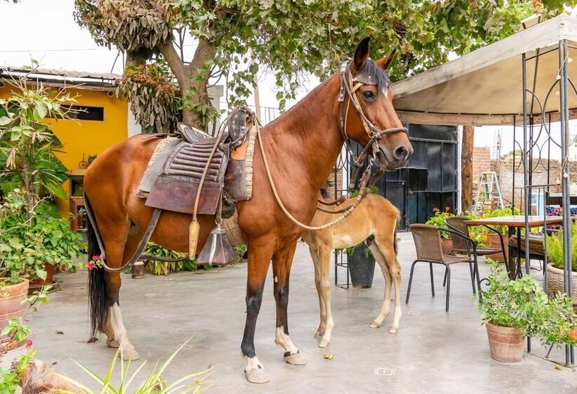 هتل Serenity Lodge