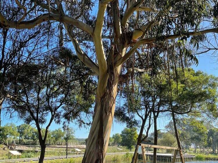 פנסיון Grannys Guesthouse