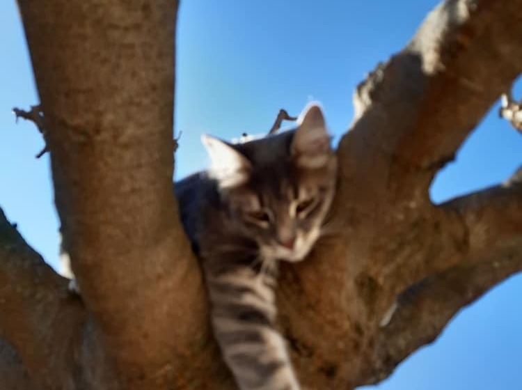 ペンション Mas Dansavan