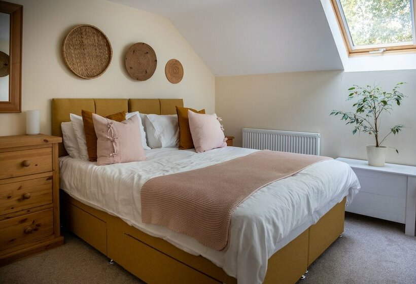 リゾートホテル The Manor At Bratton Clovelly