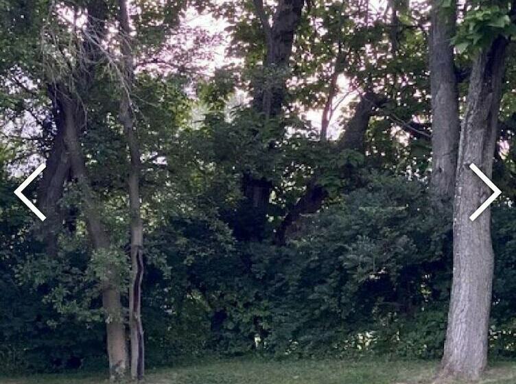 Yellow Springs Motel