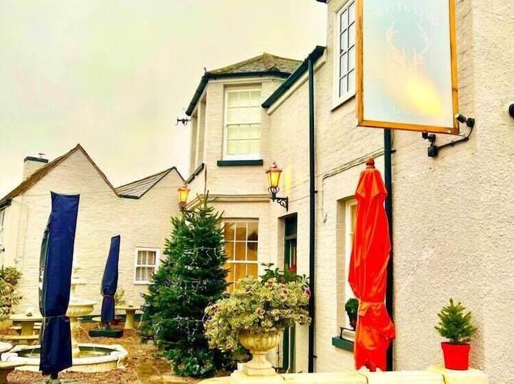 مبيت وإفطار White Stag Lodge