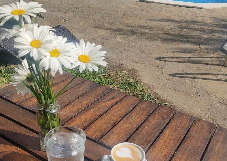 تختخواب و صبحانه Yliessa