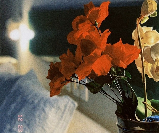 בית מלון כפרי Casa Branca