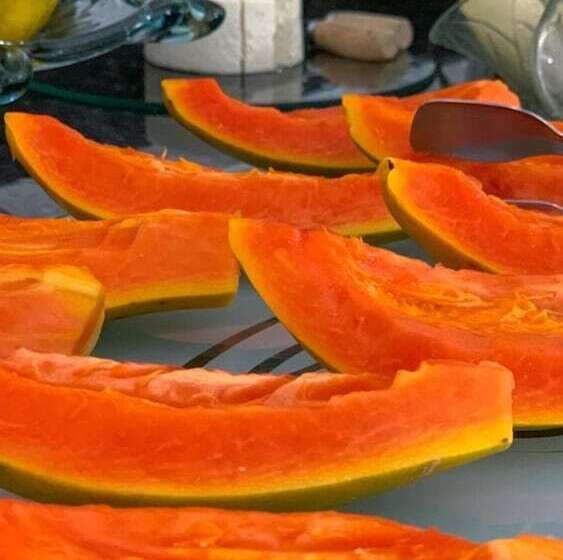 בית מלון כפרי Casa Branca