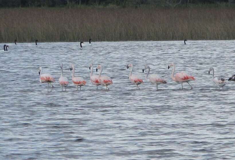 هتل Laguna Garzon Lodge