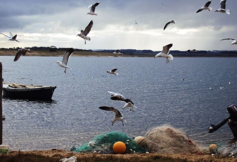 فندق Laguna Garzon Lodge