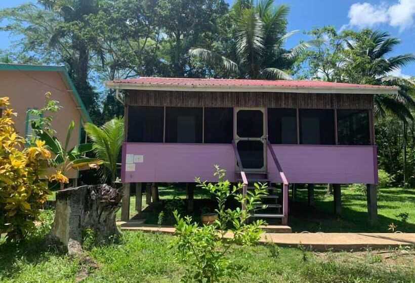 مبيت وإفطار River Bend Resort Belize