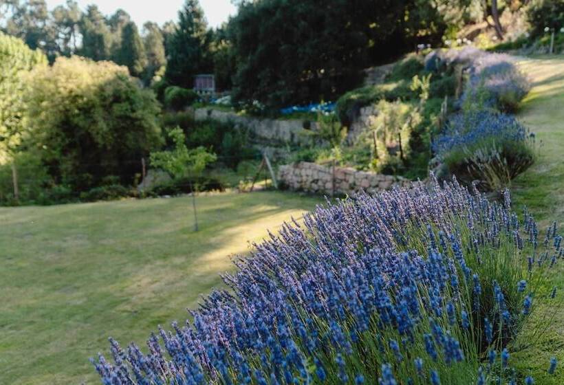 Casa Agrícola Da Levada Eco Village