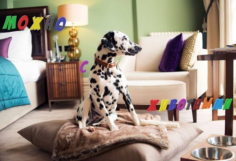 پانسیون Karavan