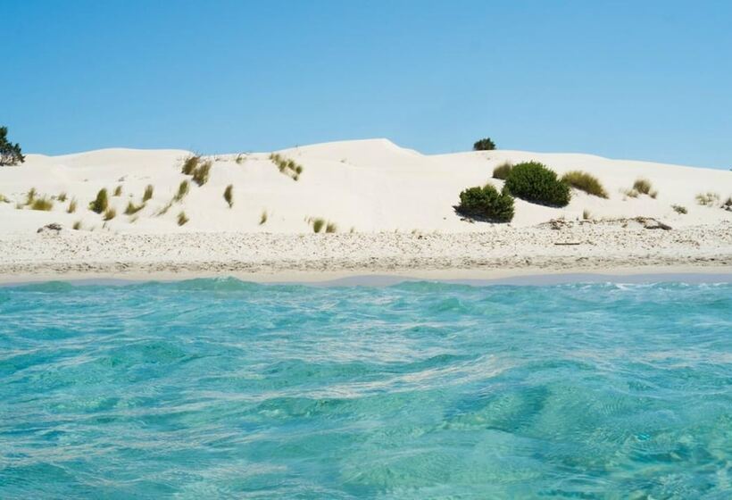 Пансион Room In Guest Room   S Olivariu Village Affittacamere   King Room With Roll In Shower