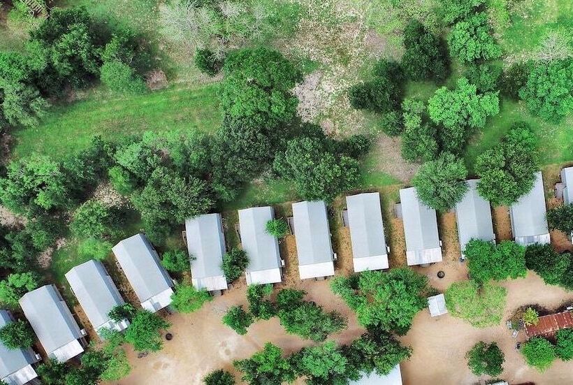 13 Son S Geronimo   Birdhouse Cabin