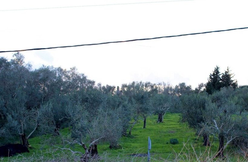 Anemomylos Lefkimmi Luxus Suites Boutique Hotel & Pool