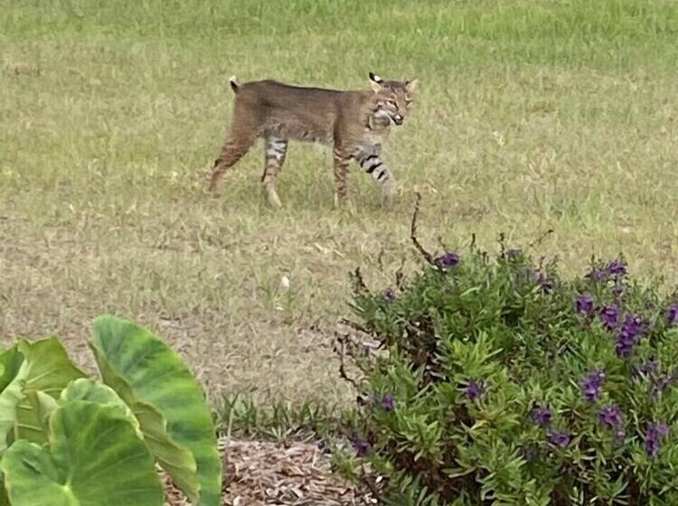 مبيت وإفطار Suite Dreams Guesthouse Aka Care Takeover Home