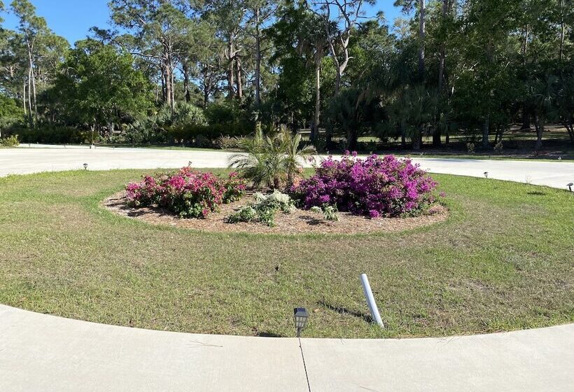 مبيت وإفطار Suite Dreams Guesthouse Aka Care Takeover Home