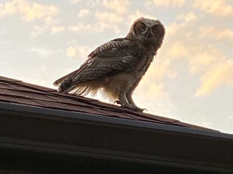 مبيت وإفطار Suite Dreams Guesthouse Aka Care Takeover Home