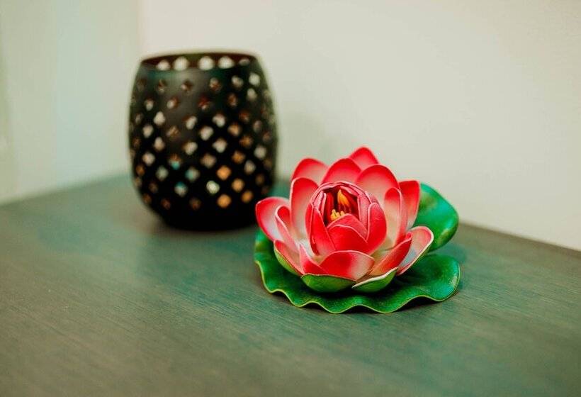 Bed and Breakfast Dim House