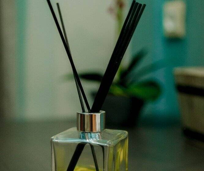 Bed and Breakfast Dim House