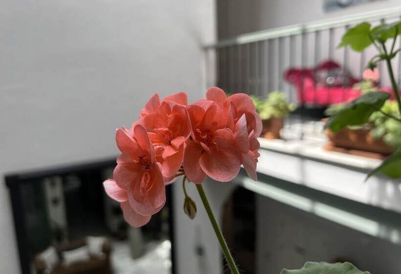 Bed & Breakfast La Gitanilla Alojamiento & Encanto Jerez