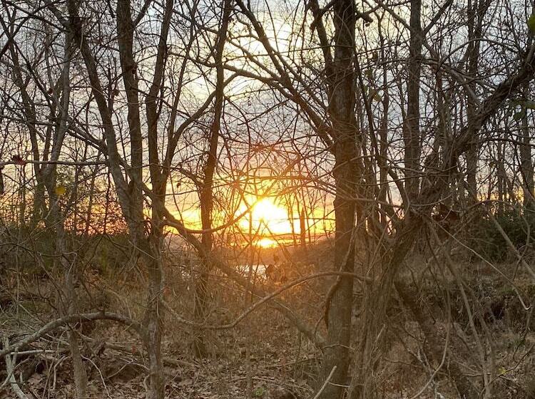 مبيت وإفطار The King S Daughters B And B On The Bluff Overlooking The Mighty Mississippi