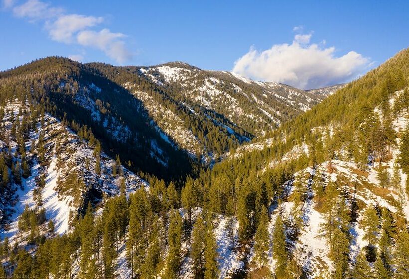 فندق Bear Creek Resort   Campsite