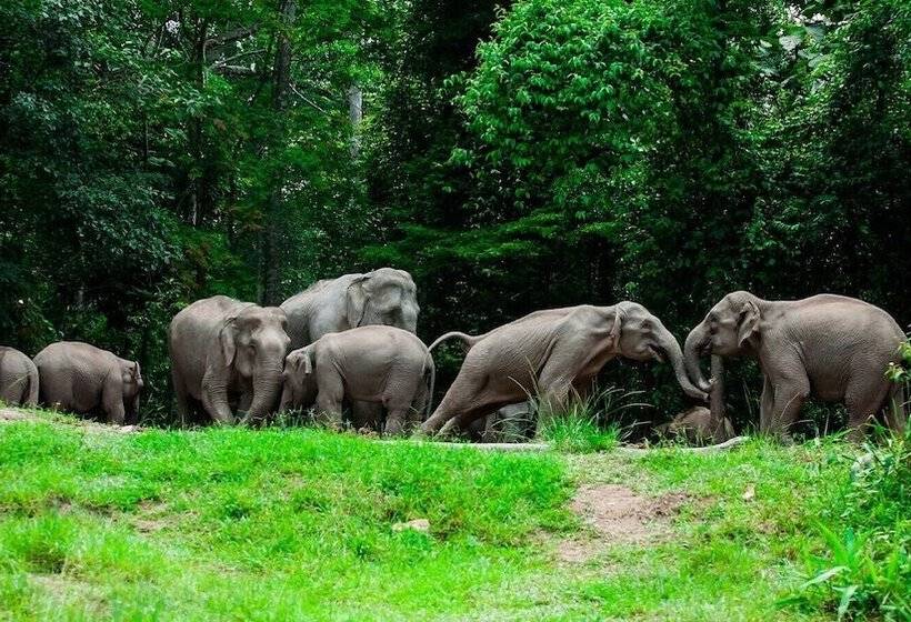 호텔 Thara Cholapruek Resort