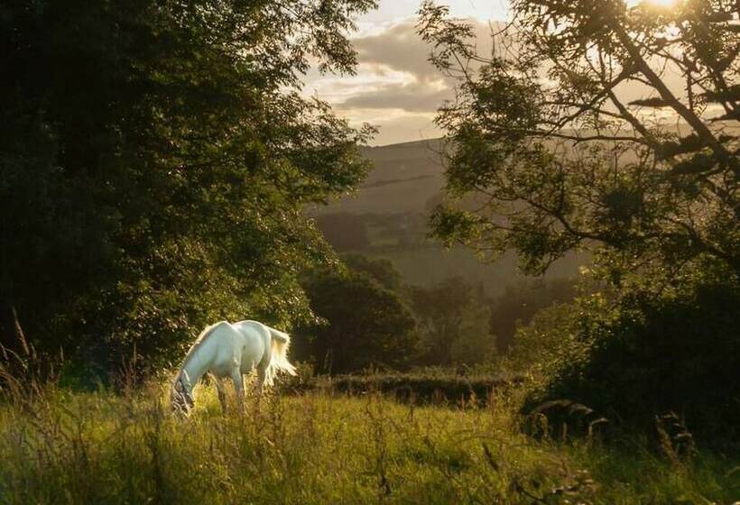 Lovely Hillside Cabin In The Heart Of The Cuckmere