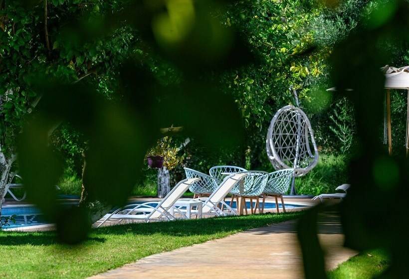 بنسيون Alonaki Resort