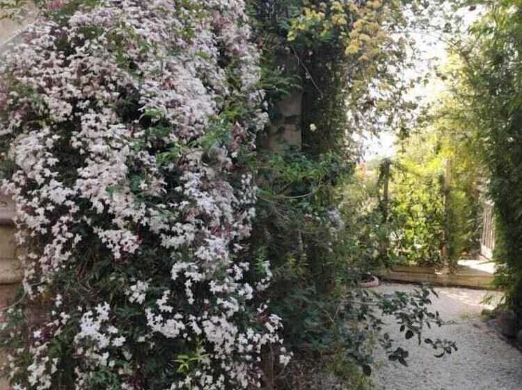 بنسيون Maison D Hôtes Cœur D Hérault