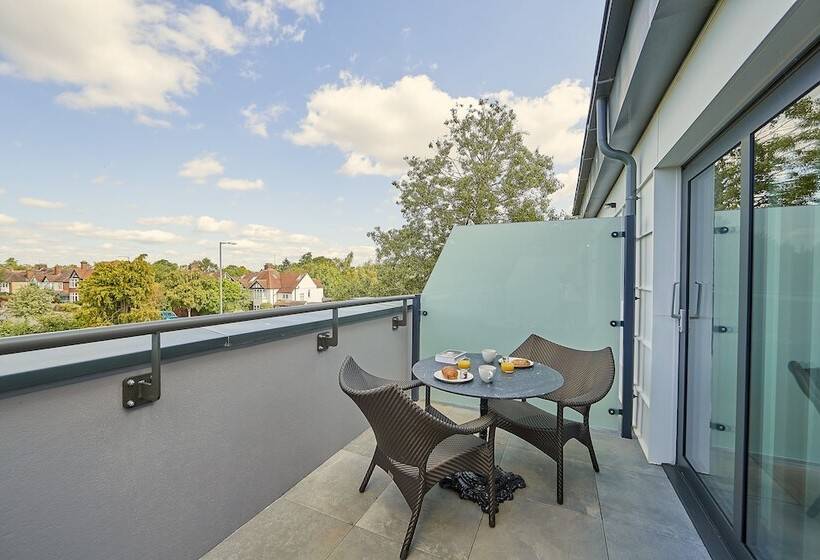 פנסיון The Fellows House Mews