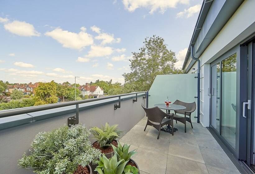 פנסיון The Fellows House Mews