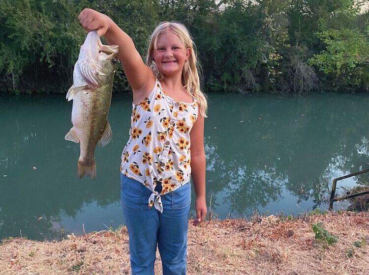 3 Son S Geronimo   Birdhouse Cabin