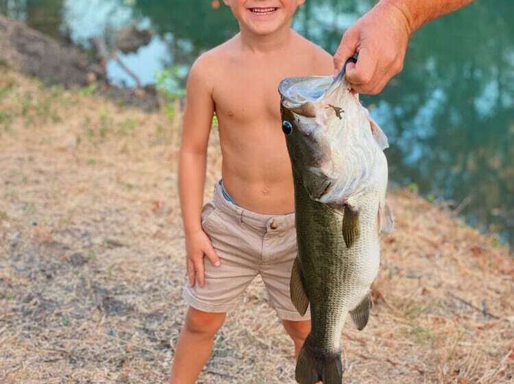 5 Son S Geronimo   Birdhouse Cabin