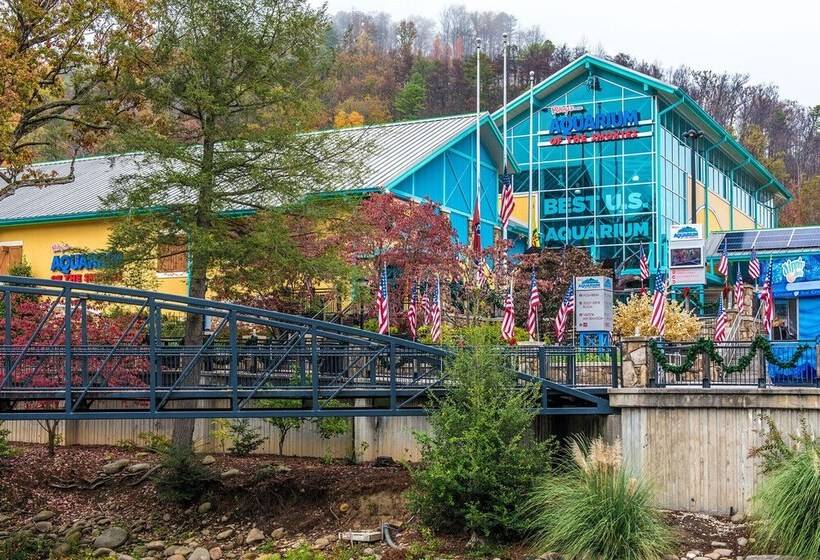 514bearhaustnncb   Bear Haus