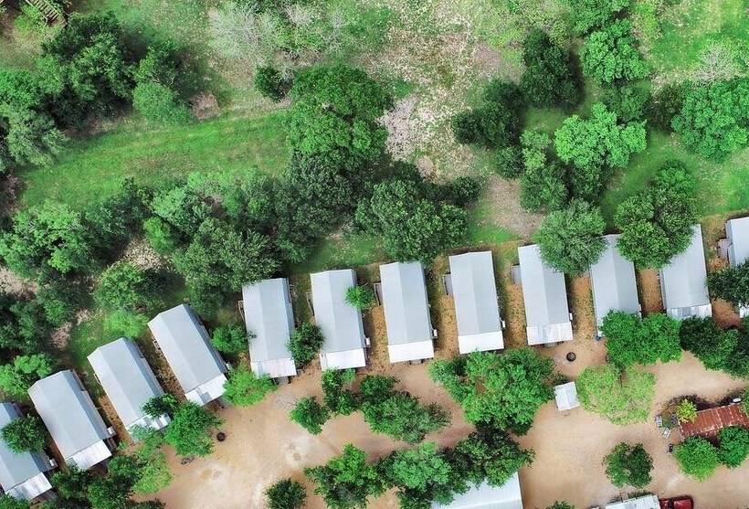 6 Son S Geronimo Birdhouse Cabin