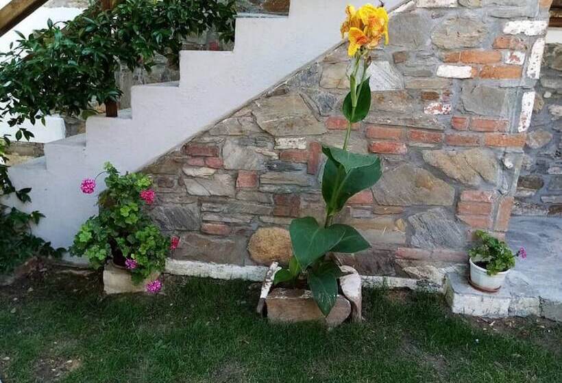 Beautiful Petrino 1880