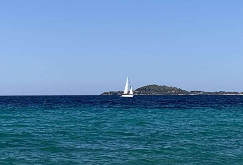 Beautiful Petrino 1880