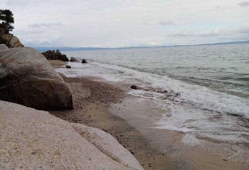 Beautiful Petrino 1880