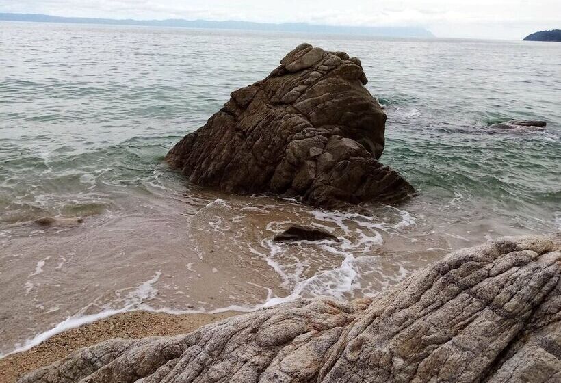 Beautiful Petrino 1880