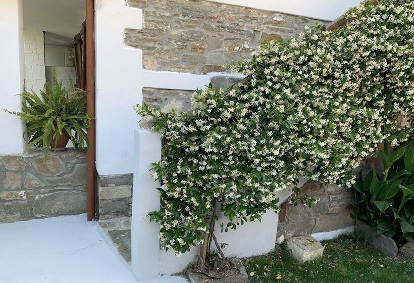 Beautiful Petrino 1880